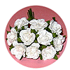 Small White Flower